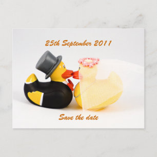 Wedding ducks ... Postcard