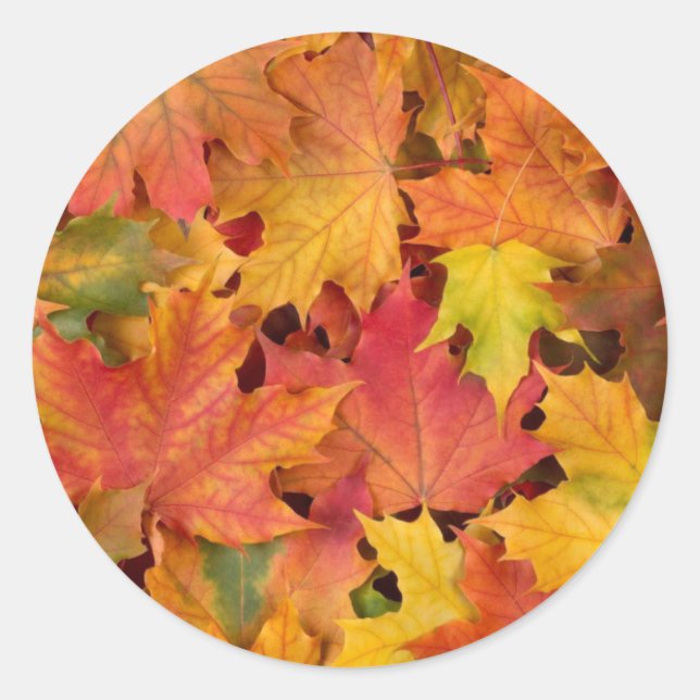 Wedding Fall Leaves Autumn Colours Orange Red Classic Round Sticker (Front)