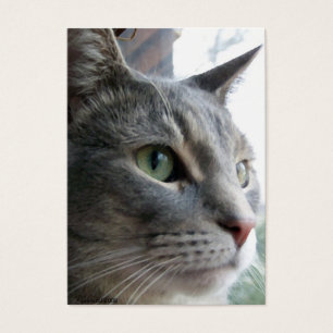 Wedding Favour (Sample) Card