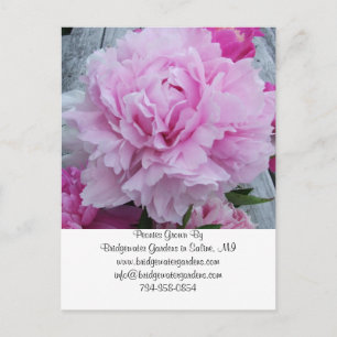 Wedding Florist Business Card Postcard