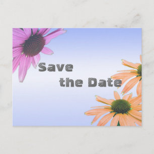 wedding gift, daisy flowers, thank you, etc. announcement postcard