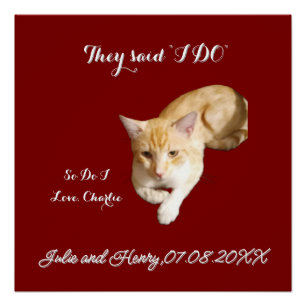 Wedding Ginger Cat Photo Text Customise Poster