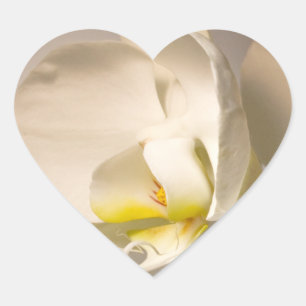 Wedding Hearts White Orchid Envelope Seal Event We