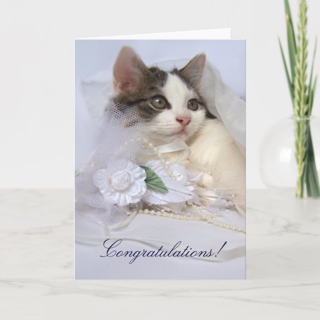Wedding Kitten Card (Front)