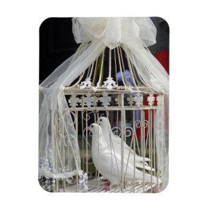 Wedding pigeon waiting for bride magnet