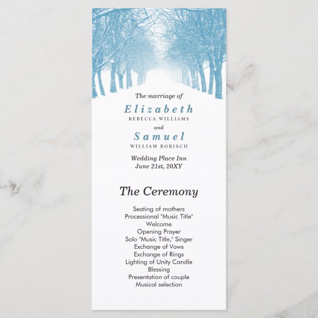 Wedding Program Winter Trees Avenue Path Programme (Front)