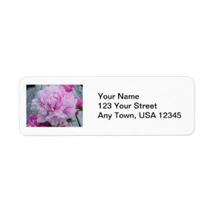 Wedding Return Address Lables Pink Peonies Flowers