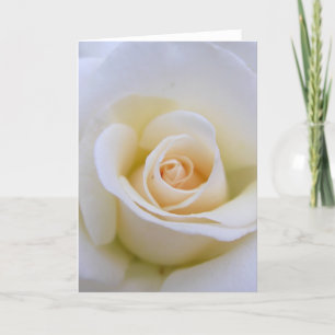 Wedding Rose Card