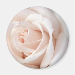 Wedding Rose Magnet