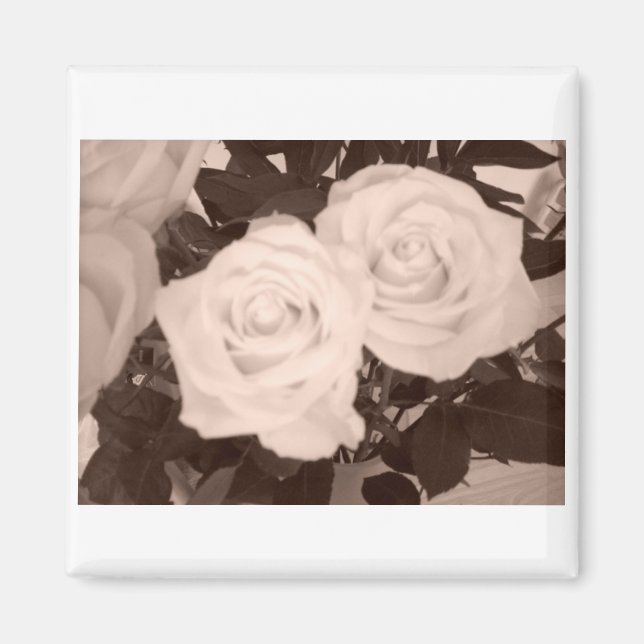 Wedding Roses Magnet (Front)