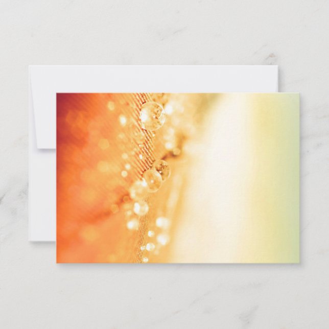 Wedding RSVP Cards (Front)