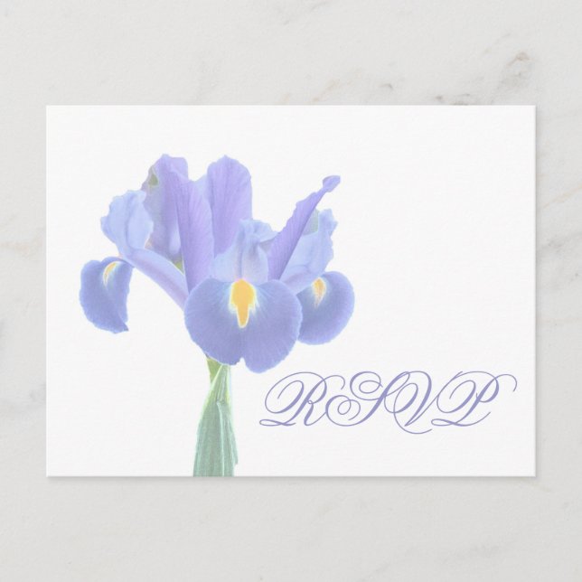 Wedding RSVP Iris Postcards (Front)