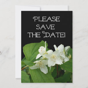 Wedding 'Save the Date' Card