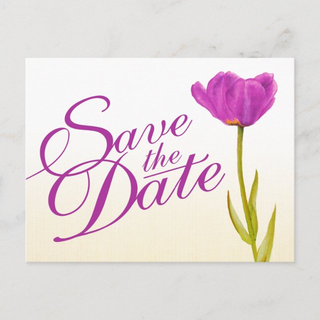 Wedding Save the Date Postcard purple tulip art (Front)