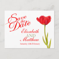 Wedding Save the Date Postcard red tulip art