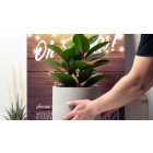 Wedding Snap Hashtag Rustic Wood Mason Jar Lights