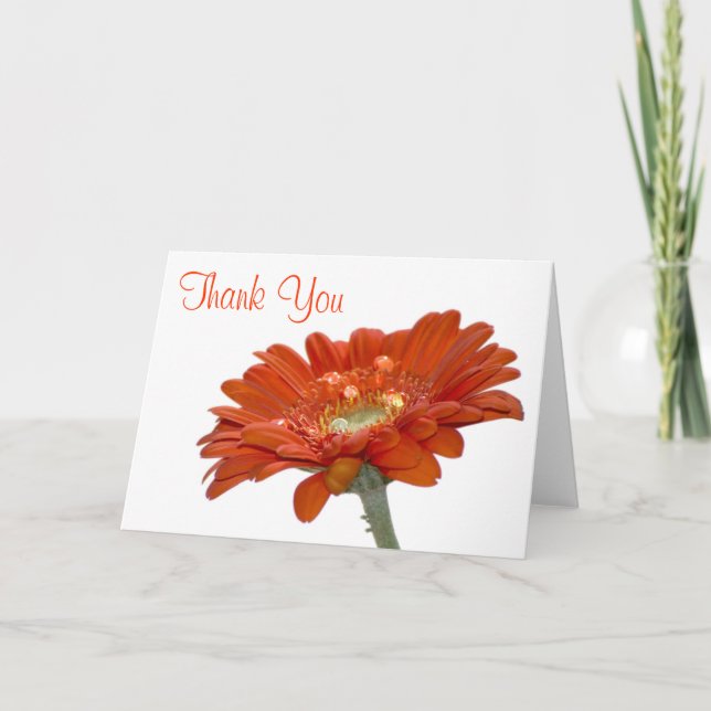 Wedding Thank You Card - Orange Daisy Gerbera (Front)