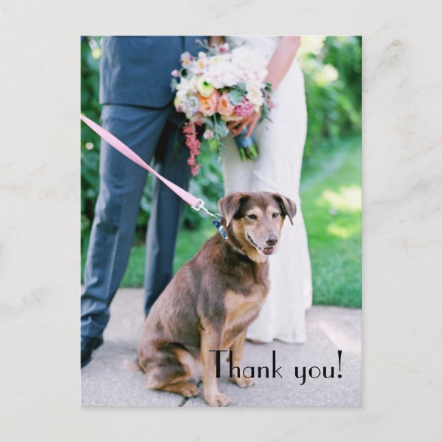 Wedding Thank You Post Card (Front)