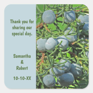 Wedding Thank You Rustic Pine Guest Appreciation Square Sticker