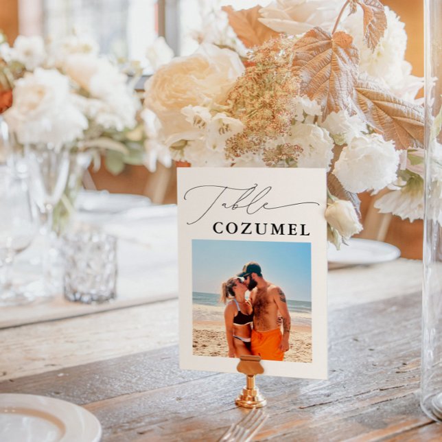 Wedding Travel Adventure Photo Table Number (Creator Uploaded)