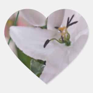 wedding white lily flowers floral flora love vines heart sticker