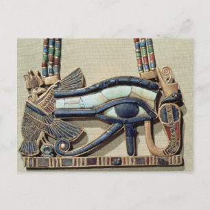 Wedjet eye pectoral postcard