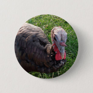 Wedrose Acres button 1