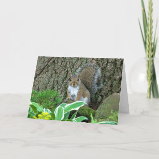 Wee Princess Holiday Card