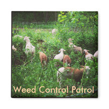 Weed Control Patrol Magnet