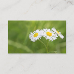 Weed daisy business card