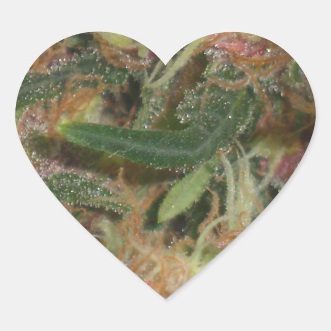 Weed Heart Sticker (Front)