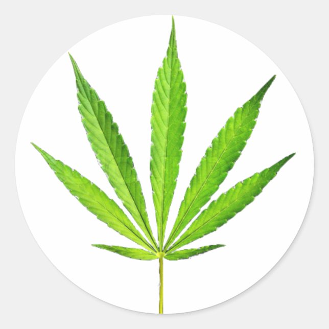 WEED LEAF CLASSIC ROUND STICKER (Front)