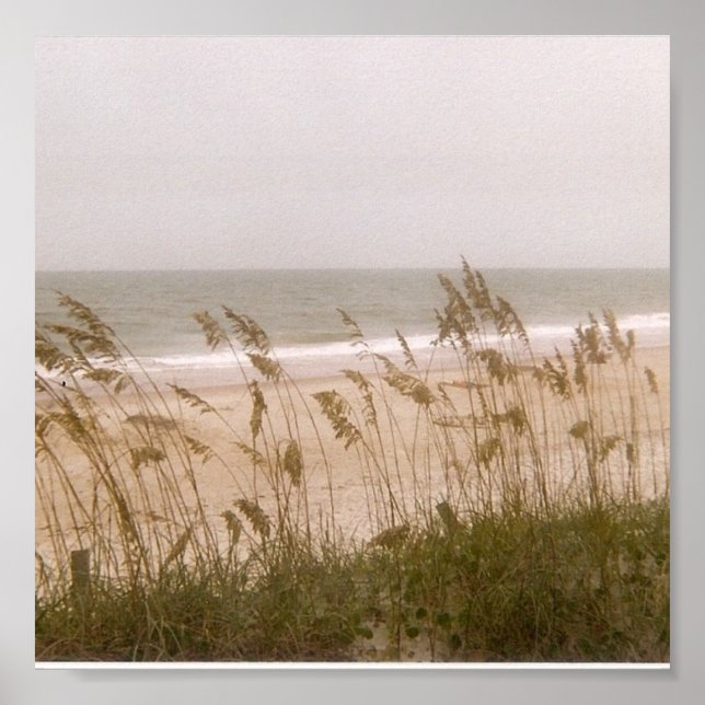 weeds poster (Front)