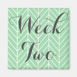 Week Two Magnet