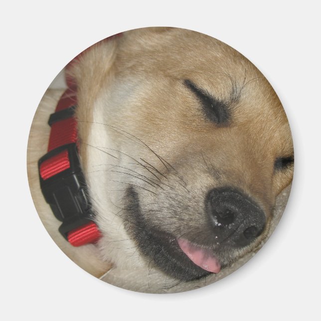 Weekend Dexter Bebe Magnet (Front)