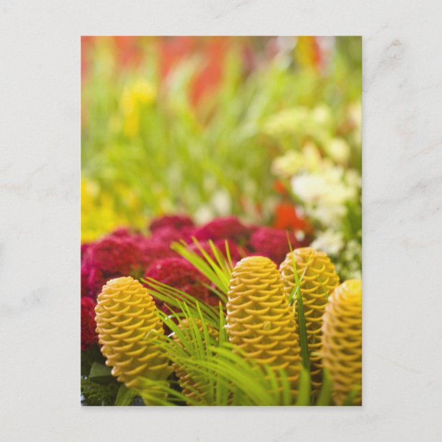 Weekly Friday fruit & vegetable market. Postcard (Front)