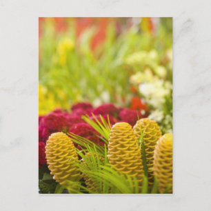 Weekly Friday fruit & vegetable market. Postcard