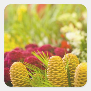 Weekly Friday fruit & vegetable market. Square Sticker