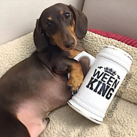 Ween King Dachshund Dad Stein Mug – Father’s Day