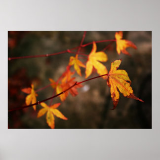 Weeping Autumn Poster Print