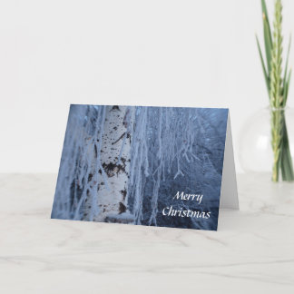 Weeping Birch Christmas Card