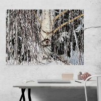 Weeping Birch Eye of Horus