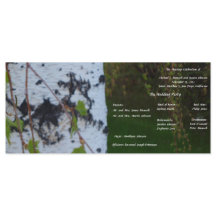 Weeping Birch Wedding Program