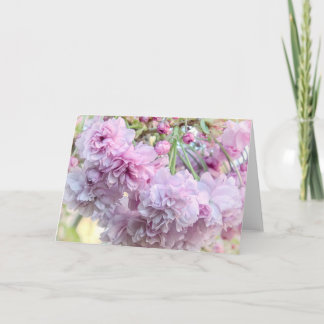 Weeping cherry blossom card