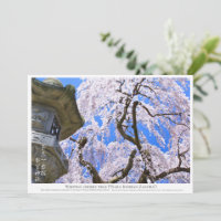 Weeping cherry tree ("Nara Ichiban-Zakura") カード