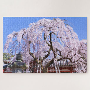 Weeping cherry tree ("Nara Ichiban-Zakura") Jigsaw Puzzle