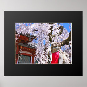Weeping cherry tree ("Nara Ichiban-Zakura") Poster