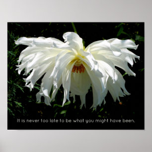 Weeping White Dahlia, inspirational quote Poster