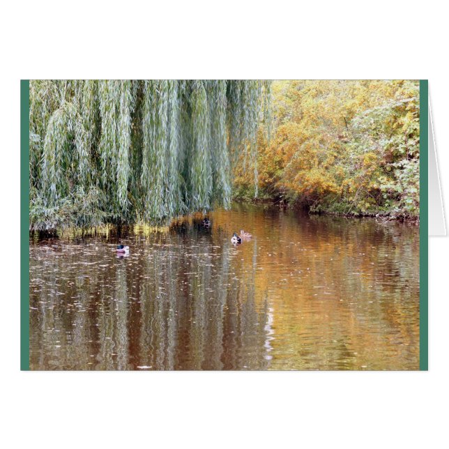 Weeping Willow Reflection (Front Horizontal)