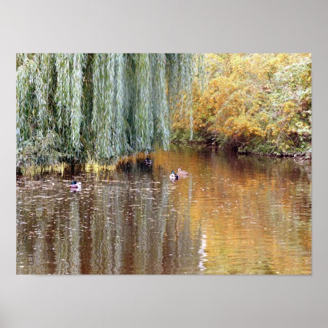 Weeping Willow Reflection Poster (Front)